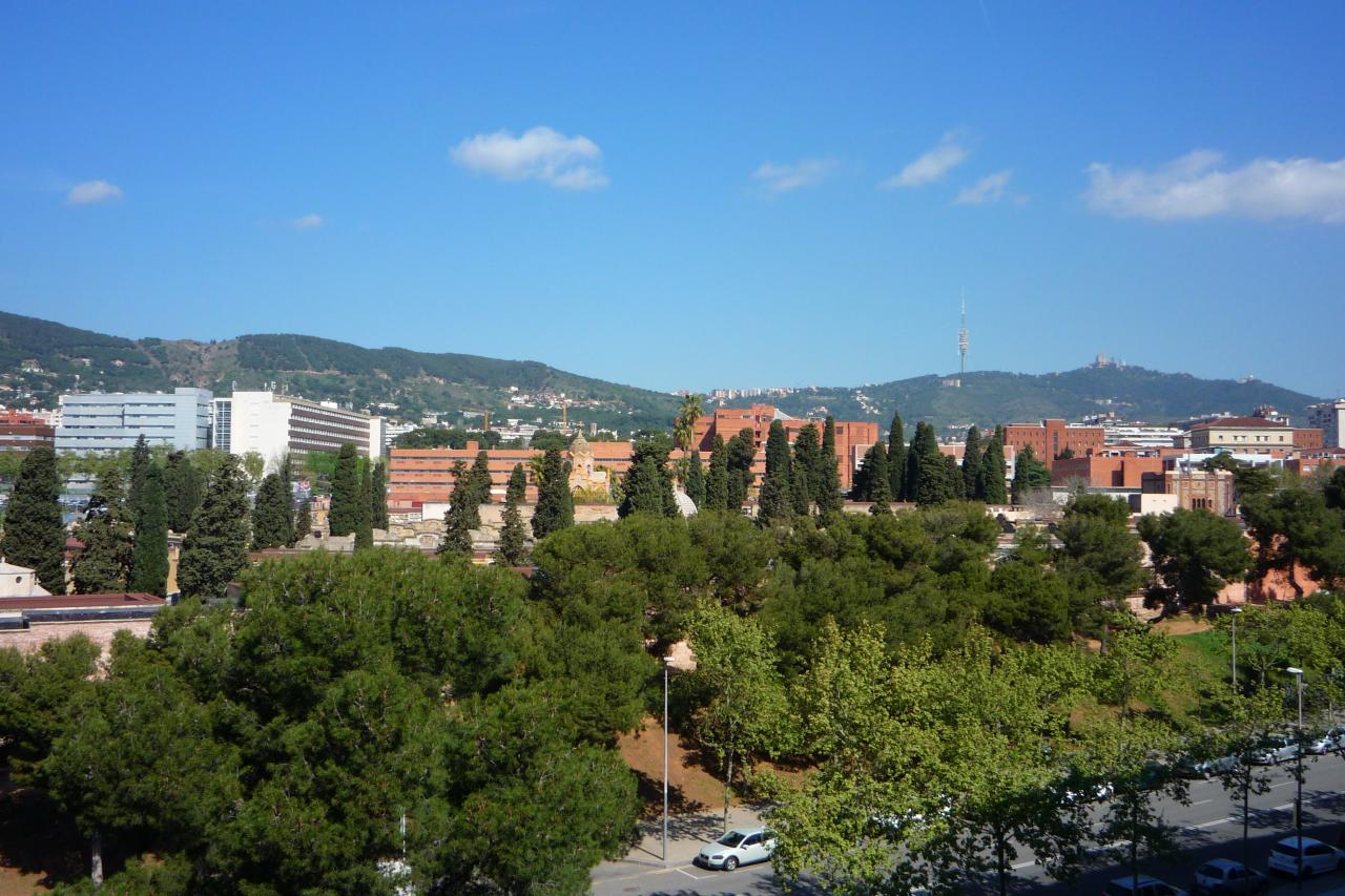 P1030753