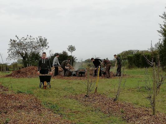 Agro entretien du verger 1